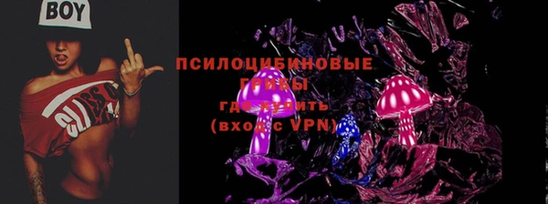 прущие грибы Алзамай