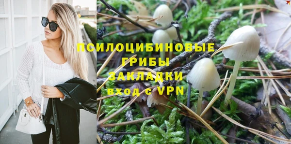 тгк Алексеевка