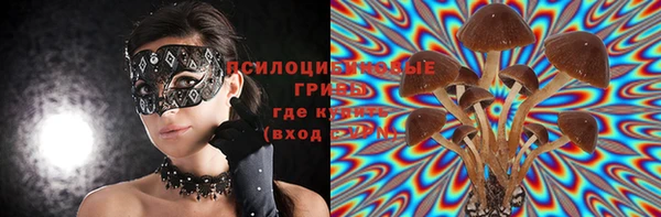 прущие грибы Алзамай