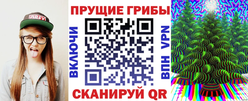 Галлюциногенные грибы мицелий  ОМГ ОМГ зеркало  Киселёвск  как найти наркотики 